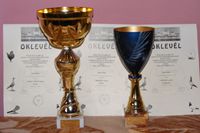 Kupák - 2009